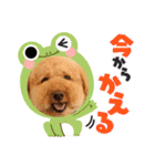 PU-くん（個別スタンプ：1）