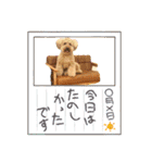 PU-くん（個別スタンプ：6）