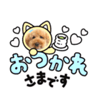 PU-くん（個別スタンプ：7）