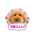PU-くん（個別スタンプ：12）