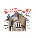 PU-くん（個別スタンプ：14）