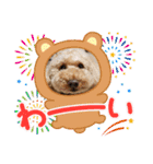 PU-くん（個別スタンプ：24）
