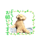PU-くん（個別スタンプ：25）