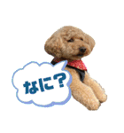 PU-くん（個別スタンプ：31）