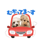 PU-くん（個別スタンプ：33）