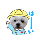 PU-くん（個別スタンプ：39）