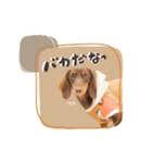 ♡ルビーちゃん＆エクレアちゃん（個別スタンプ：1）