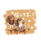 ♡ルビーちゃん＆エクレアちゃん（個別スタンプ：4）