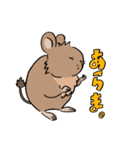 ふデグーのにちじょう（個別スタンプ：4）