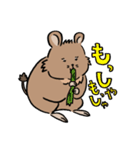 ふデグーのにちじょう（個別スタンプ：19）