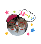 長崎 高島で生きる猫たち（個別スタンプ：2）