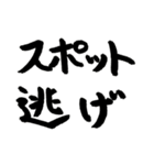 スケボー筆文字(フィルミング編)（個別スタンプ：17）