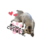 エミプクの日常会話①（個別スタンプ：1）