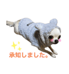 エミプクの日常会話①（個別スタンプ：4）