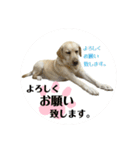 エミプクの日常会話①（個別スタンプ：16）