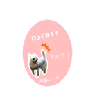 エミプクの日常会話①（個別スタンプ：17）