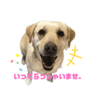 エミプクの日常会話①（個別スタンプ：21）