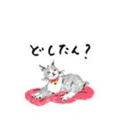 セカズンのふるさと応援♩想い、届け〜♩（個別スタンプ：24）