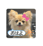 ムギムギスタンぷ（個別スタンプ：1）