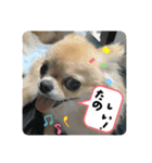 ムギムギスタンぷ（個別スタンプ：3）