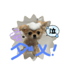 ムギムギスタンぷ（個別スタンプ：5）