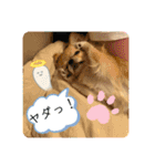 ムギムギスタンぷ（個別スタンプ：7）