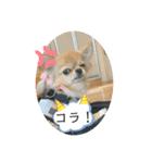 ムギムギスタンぷ（個別スタンプ：9）