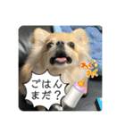 ムギムギスタンぷ（個別スタンプ：10）