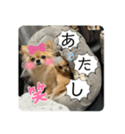 ムギムギスタンぷ（個別スタンプ：11）