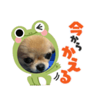 ムギムギスタンぷ（個別スタンプ：13）