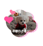 LUNA＆SEAです！！冬編いろいろバージョン～（個別スタンプ：1）