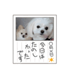 LUNA＆SEAです！！冬編いろいろバージョン～（個別スタンプ：2）