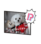 LUNA＆SEAです！！冬編いろいろバージョン～（個別スタンプ：4）