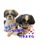 クロとくぅちゃん（個別スタンプ：1）