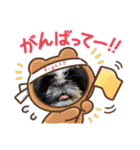 クロとくぅちゃん（個別スタンプ：14）