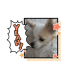癒やしのかわいさメッセージスタンプ☆（個別スタンプ：12）
