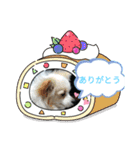 癒やしのかわいさメッセージスタンプ☆（個別スタンプ：13）