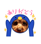 まるりさんのスタンプ1（個別スタンプ：5）