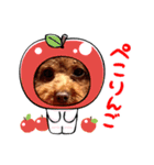 まるりさんのスタンプ1（個別スタンプ：6）