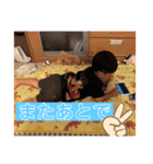 わくおスタンプ（個別スタンプ：11）