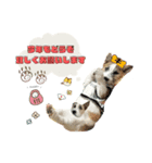 ラッシーのクリスマス＆お正月☆（個別スタンプ：8）