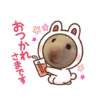 ちーちー（ハムスター）スタンプ（個別スタンプ：1）