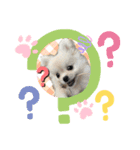 ポメペキぷりんのスタンプ（個別スタンプ：7）