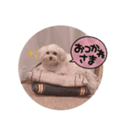 ころにきの日常（個別スタンプ：7）