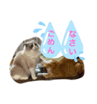 猫スタンプ チャライト（個別スタンプ：14）