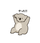 コアラ 日常（個別スタンプ：4）