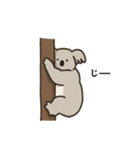 コアラ 日常（個別スタンプ：8）