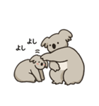 コアラ 日常（個別スタンプ：13）