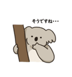 コアラ 日常（個別スタンプ：20）