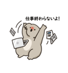 コアラ 日常（個別スタンプ：23）